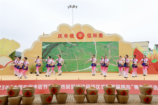 廣東南雄舉辦2023年「中國(guó)農(nóng)民豐收節(jié)」 首屆銀杏「果王」評(píng)出