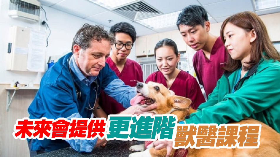 城大：首批11名港產(chǎn)獸醫(yī)最早下月能在香港註冊(cè)
