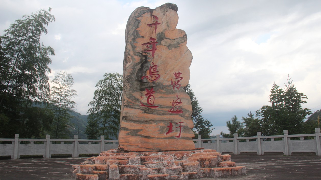 探訪江西遂川「千年鳥(niǎo)道」，為過(guò)境候鳥(niǎo)環(huán)誌，精心呵護(hù)候鳥(niǎo)遷徙