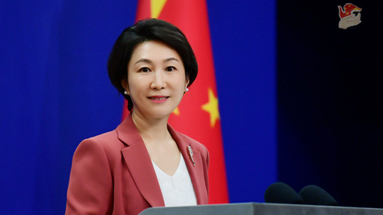 旅美大熊貓回國(guó)是否反映中美關(guān)係日益緊張？ 中方回應(yīng)