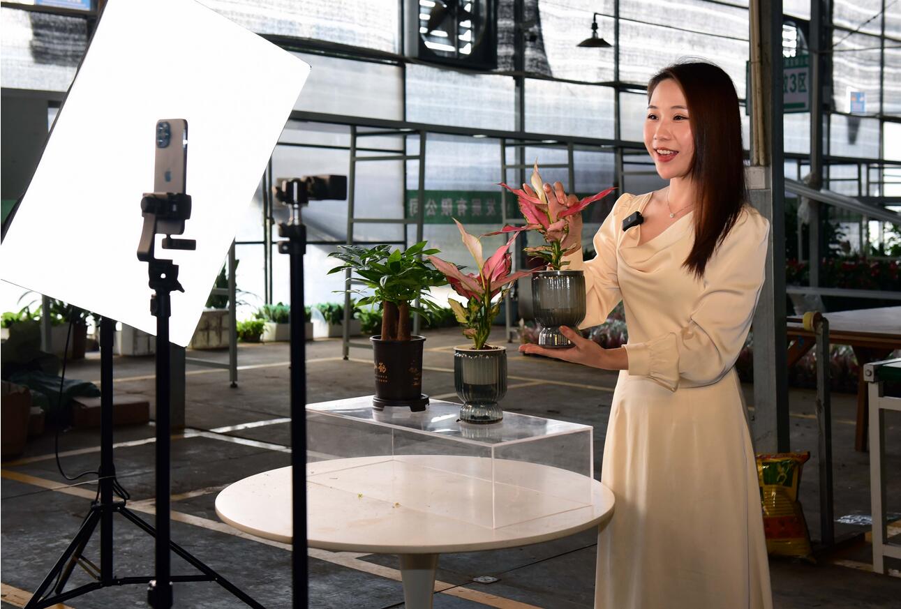 15小時，直播帶貨超億元！花都區(qū)數(shù)字農(nóng)業(yè)直播節(jié)啟動