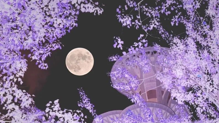 超級(jí)月亮刷屏朋友圈！深圳人，快看！