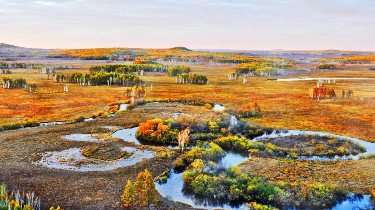 黑龍江熱推五大秋季旅遊產(chǎn)品 增色「雙節(jié)」假日旅遊市場