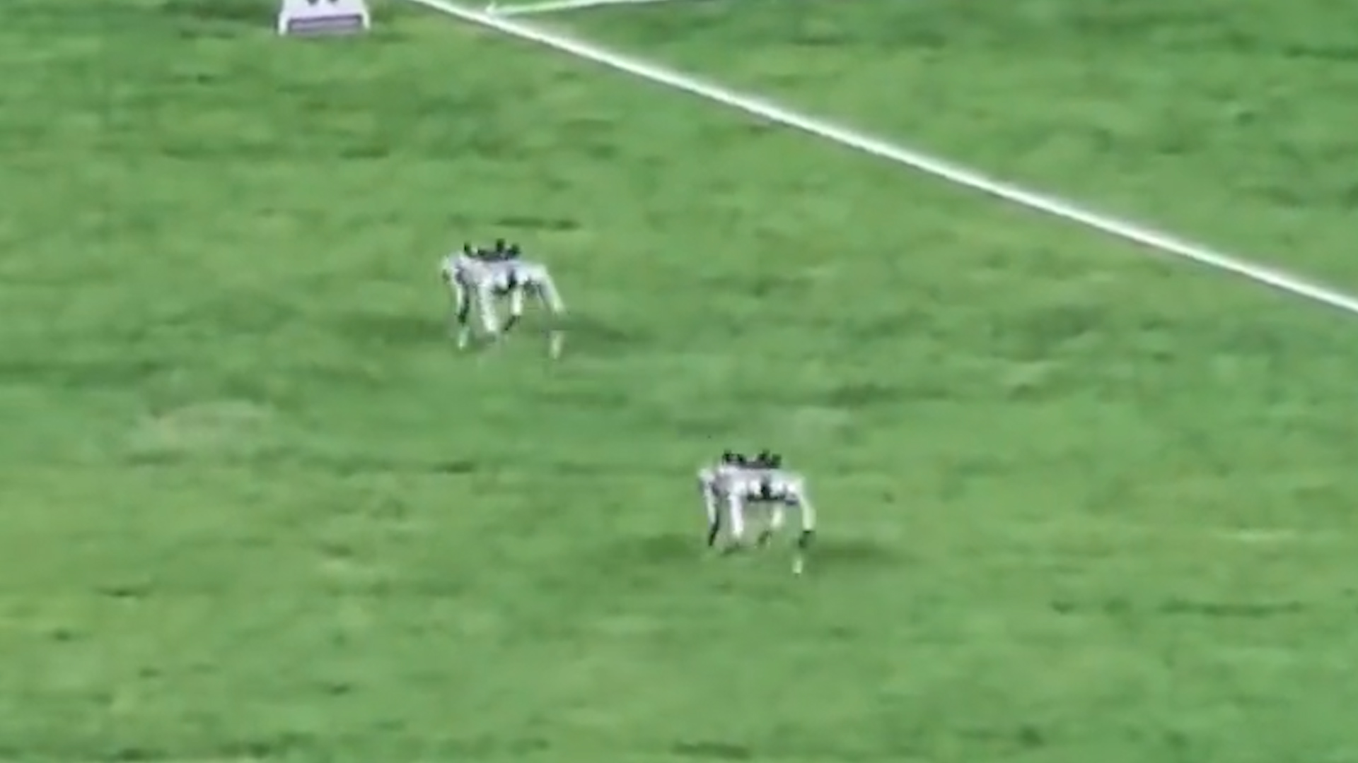 有片丨萌萌的！亞運(yùn)賽場(chǎng)上電子狗擔(dān)起運(yùn)送鐵餅「重」任