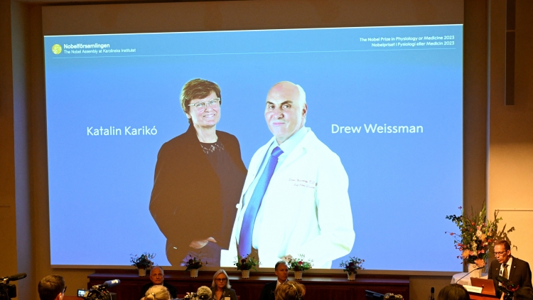 兩美國科學(xué)家獲諾貝爾醫(yī)學(xué)獎 表揚研發(fā)新冠疫苗貢獻(xiàn)
