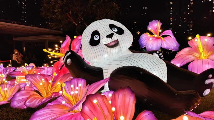 圖集 |「川燈耀香江」中秋國慶燈會(huì) 展出多個(gè)文化主題創(chuàng)意燈組