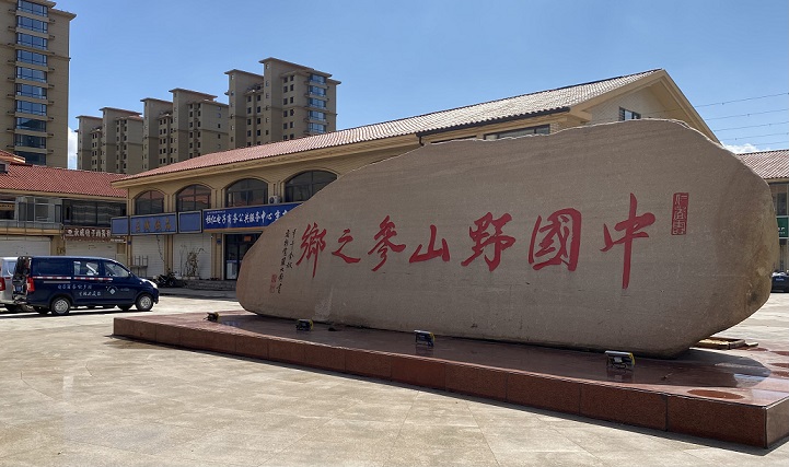 「中國山參之鄉(xiāng)」桓仁: 打造「東北道地藥材集散中心」