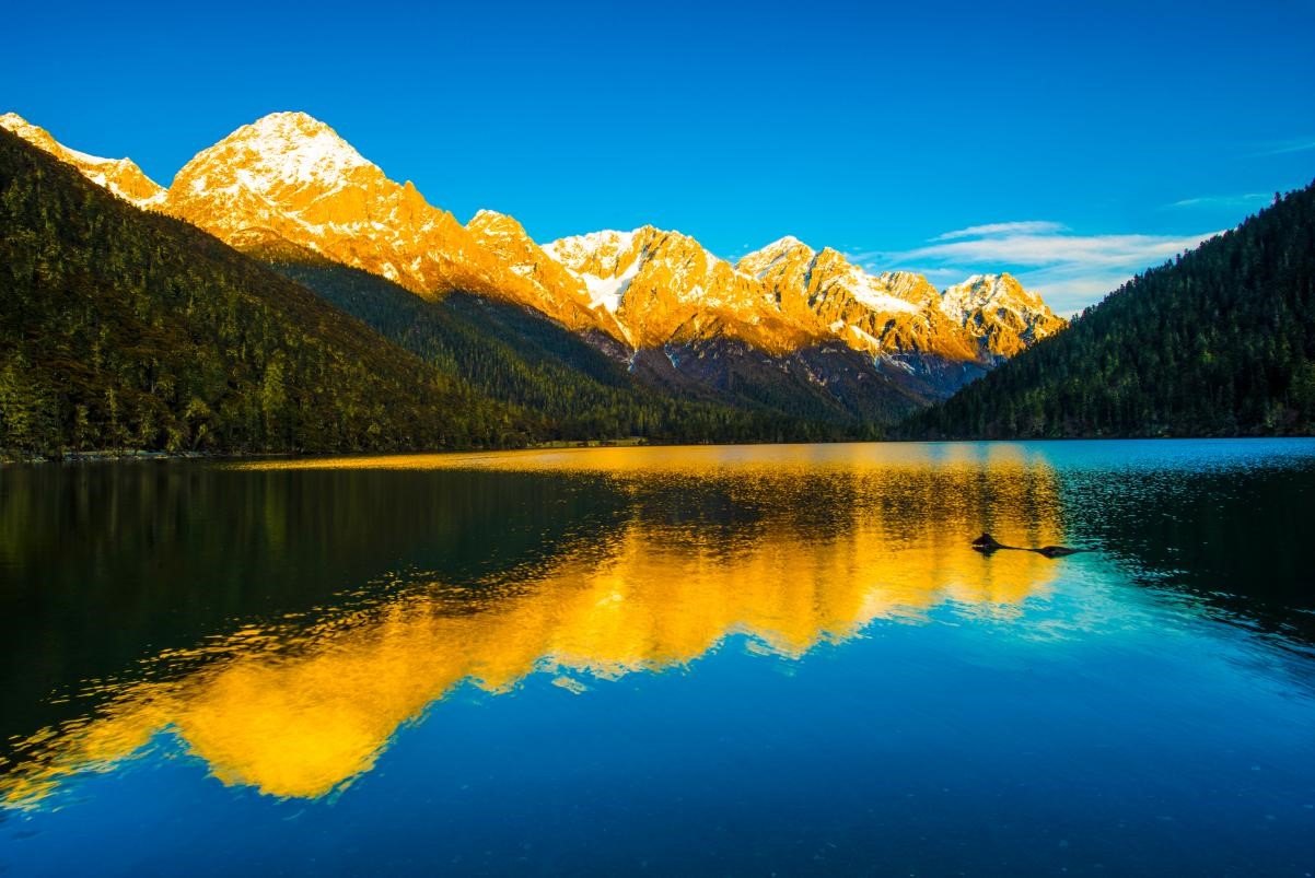 雙節(jié)「伍須潮」 甘孜九龍旅遊「熱」力十足