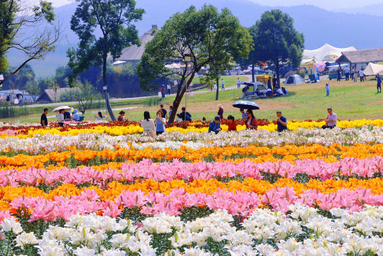 安徽巢湖經(jīng)開(kāi)區(qū)：「雙節(jié)」同慶 文旅「大餐」亮點(diǎn)紛呈