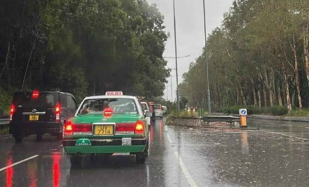 風(fēng)暴期間29人受傷 共44宗塌樹及7宗水浸