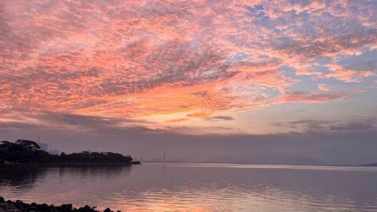 周末陽(yáng)光抓緊曬！下周降溫+陣雨即將抵深……