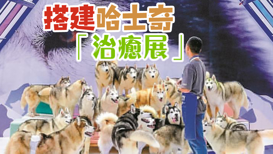 神奇萌寵在哪裏？第10屆深寵展10月13日至15日舉行