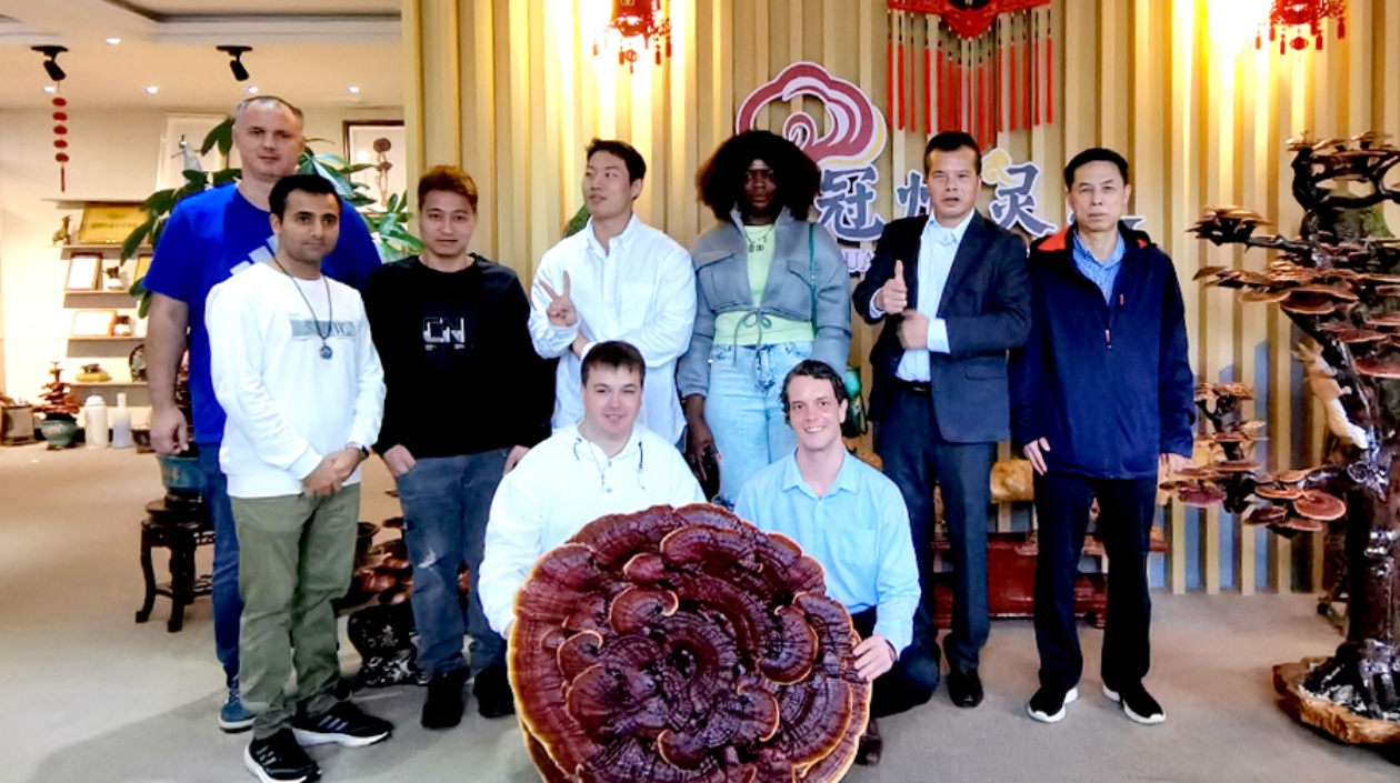 外眼看聊城丨品靈芝茶、嘗月餅……外國友人在山東聊城提前過中秋