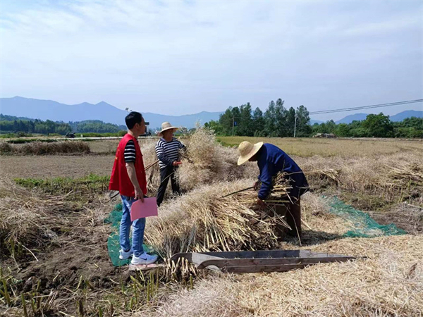 皖黟縣碧陽(yáng)鎮(zhèn)：秸稈還田 保衛(wèi)藍(lán)天