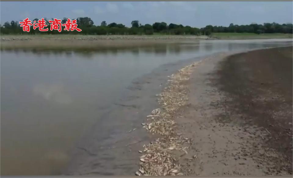 有片丨亞馬遜乾旱持續(xù)，巴西多城已降至「危險」水平