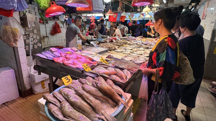 138個進口日本水產(chǎn)樣本輻射水平未超標(biāo)