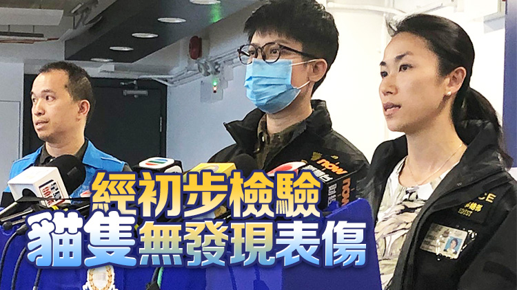 聲稱按「?jìng)鹘y(tǒng)」將病死貓屍掛樹(shù) 女飼主及3印傭涉虐畜被捕