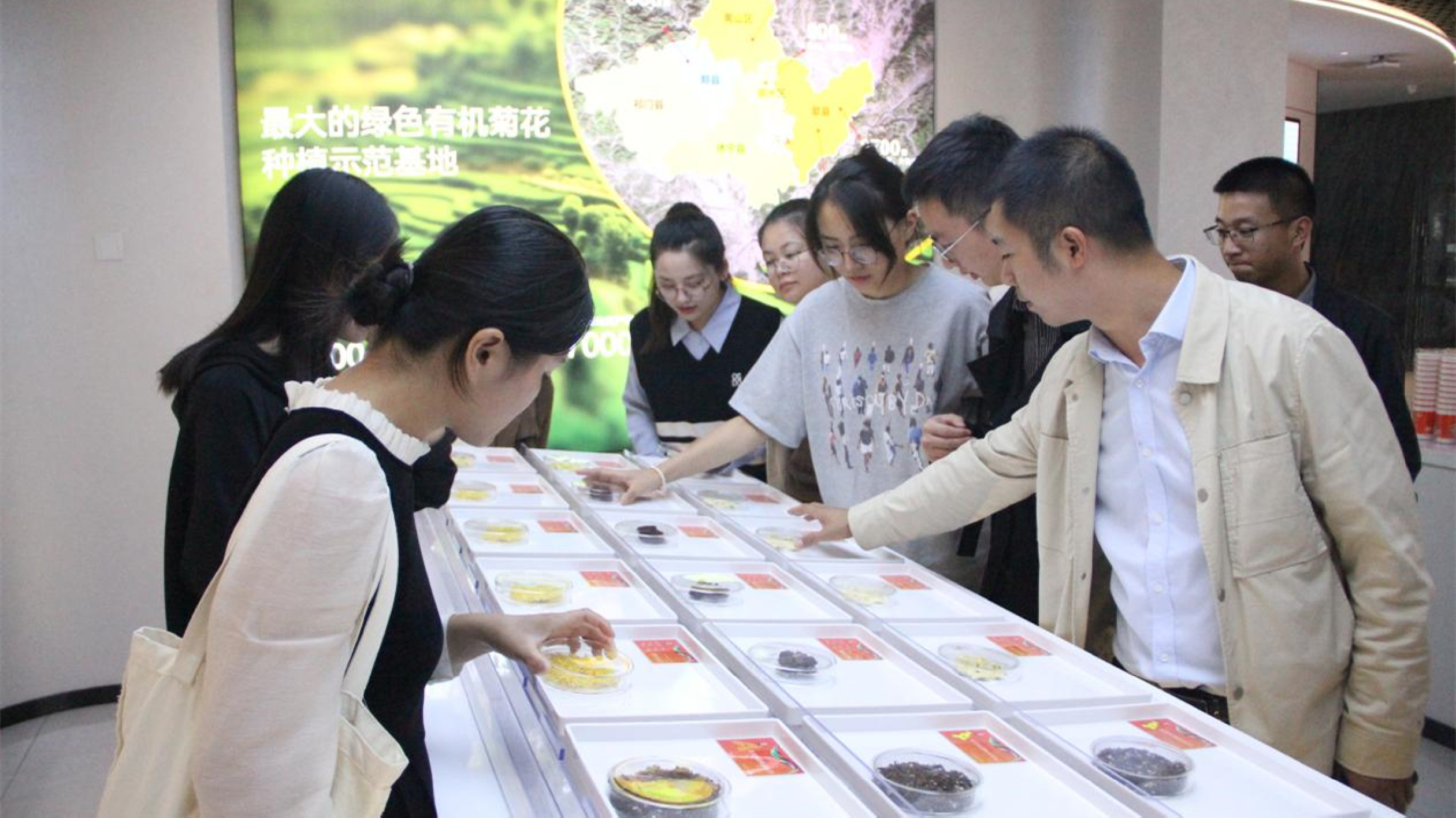 皖徽州區(qū)：全鏈條「墩實苗」  育青干「鍛鐵軍」