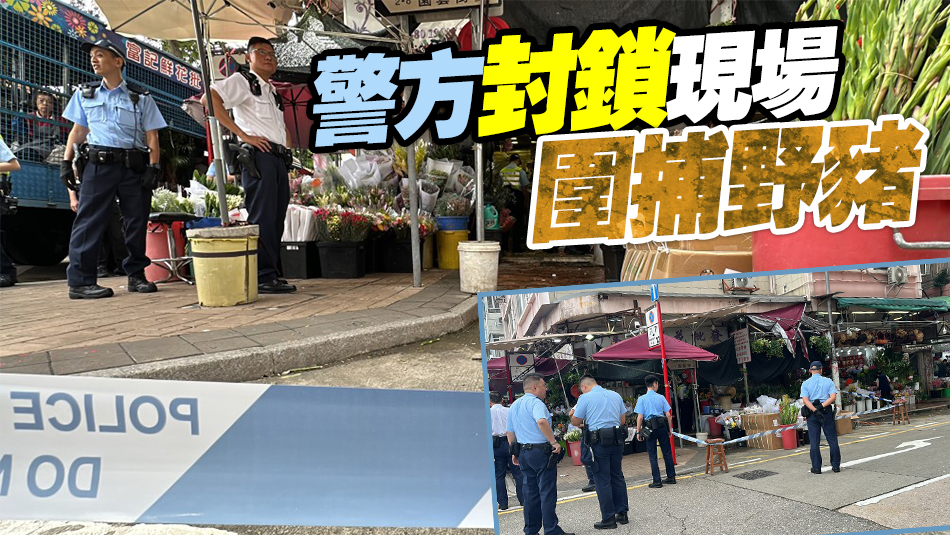 野豬闖旺角花墟 花檔男店員報(bào)稱手腳被咬傷