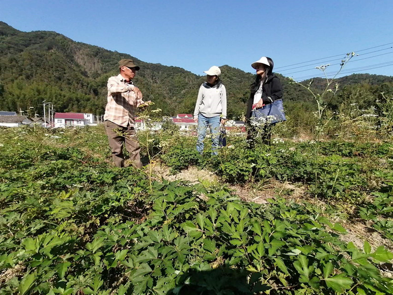 「御醫(yī)之鄉(xiāng)」祁門縣：中醫(yī)藥康養(yǎng)產(chǎn)業(yè)成縣域經(jīng)濟(jì)發(fā)展亮點(diǎn)