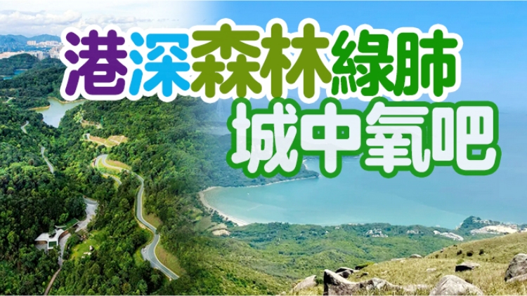九九重陽節(jié)，快帶上父母來場港深登高之旅吧……