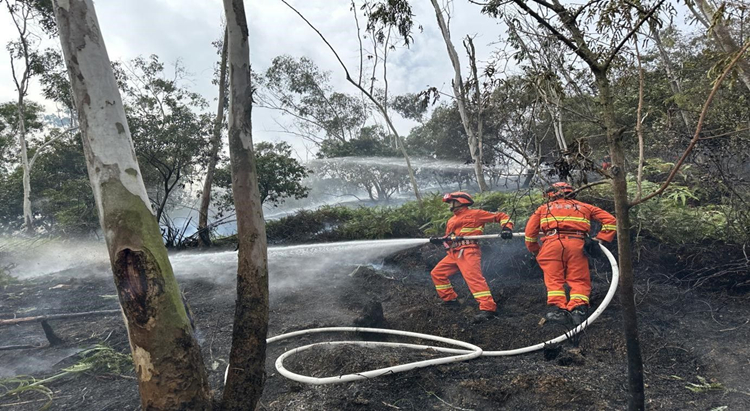 重陽節(jié)謹(jǐn)防火災(zāi)風(fēng)險(xiǎn)，深圳發(fā)布近期兩起森林火情警示案例