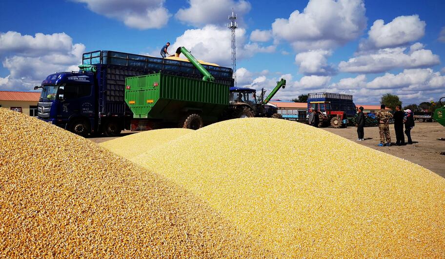 今年中國災(zāi)害頻發(fā)為何還能糧食豐收？農(nóng)業(yè)農(nóng)村部回應(yīng)