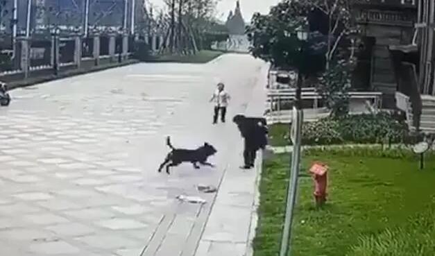 未用善款將原路退回 成都被狗咬女童媽媽回應(yīng)