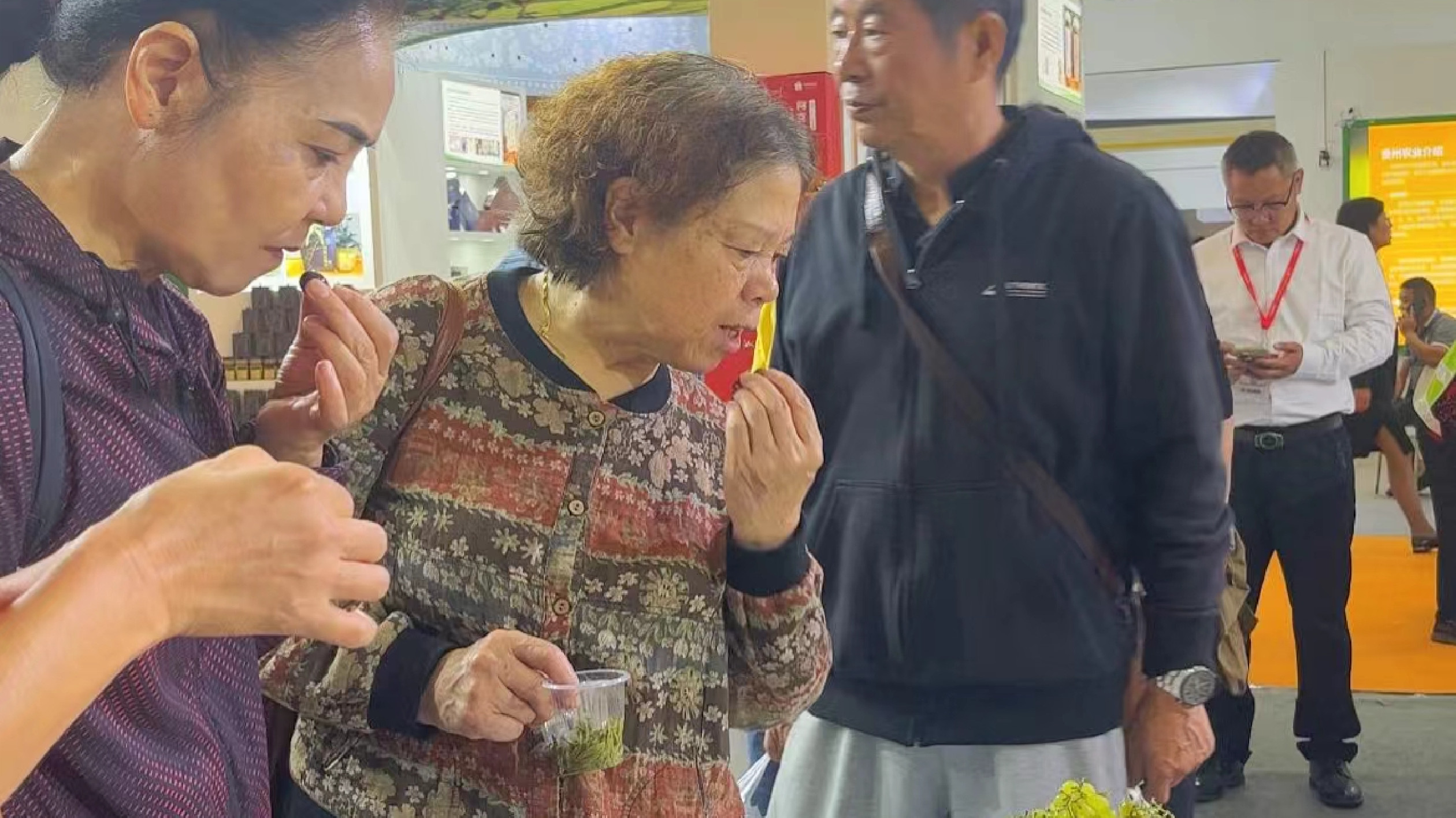 新疆與湖南的「甜蜜之約」：77種新疆葡萄來湘參展中部農(nóng)博會