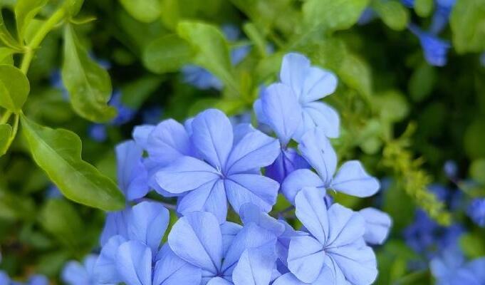 全國(guó)多地暖如夏日 深圳今起一周天氣平穩(wěn) 晴天乾燥