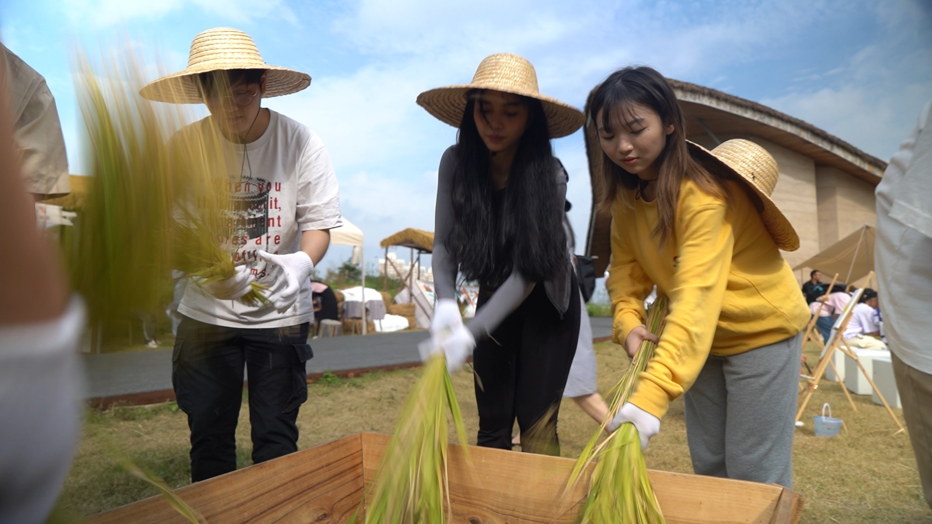 遇見(jiàn)江南史前文化 香港青年學(xué)子蘇州體驗(yàn)稻作