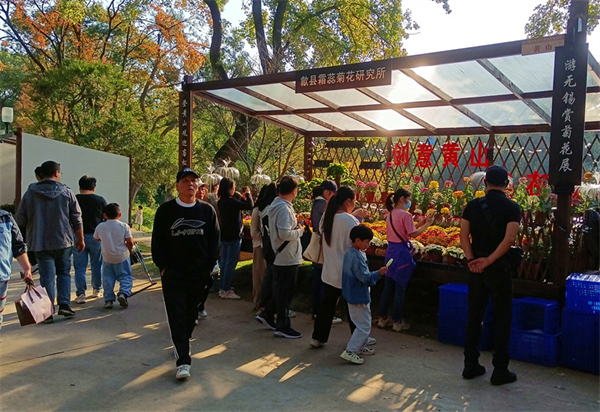 展區(qū)成了打卡點 黃山「歙菊」亮相中國菊花展
