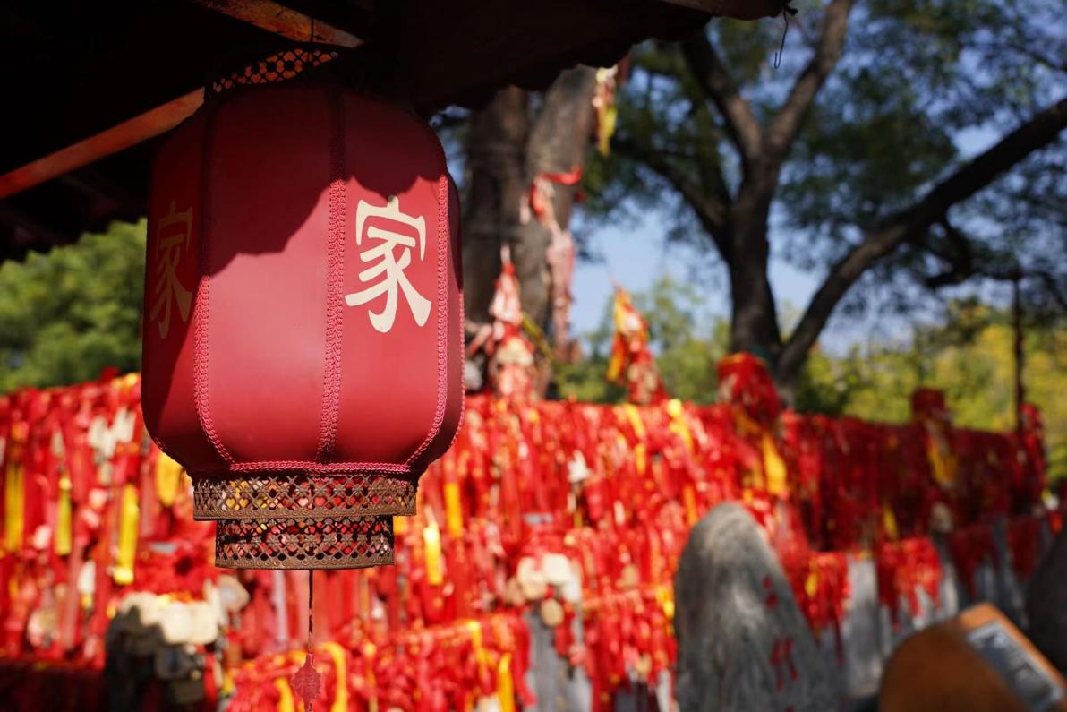 大灣區(qū)主流媒體到山西洪洞大槐樹(shù)尋根問(wèn)祖