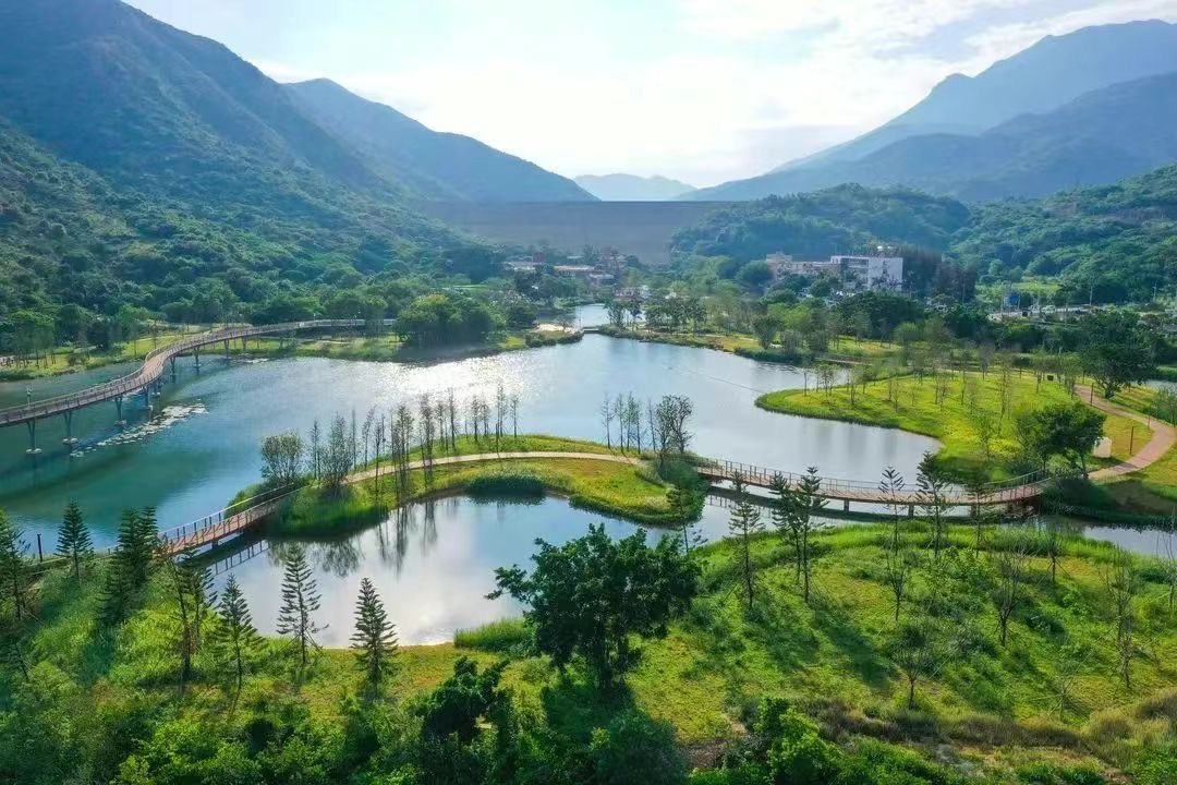 全國「大鵬生態(tài)文學(xué)獎」將重磅來襲 深圳大鵬讀書月「3+N」活動精采紛呈