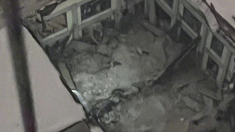 追蹤報(bào)道 | 黑龍江樺南縣一體育俱樂部坍塌事故現(xiàn)場完成救援 3人遇難