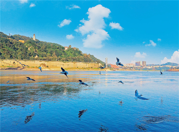 守護綠水青山  四川持續(xù)發(fā)力築牢長江黃河上游重要生態(tài)屏障