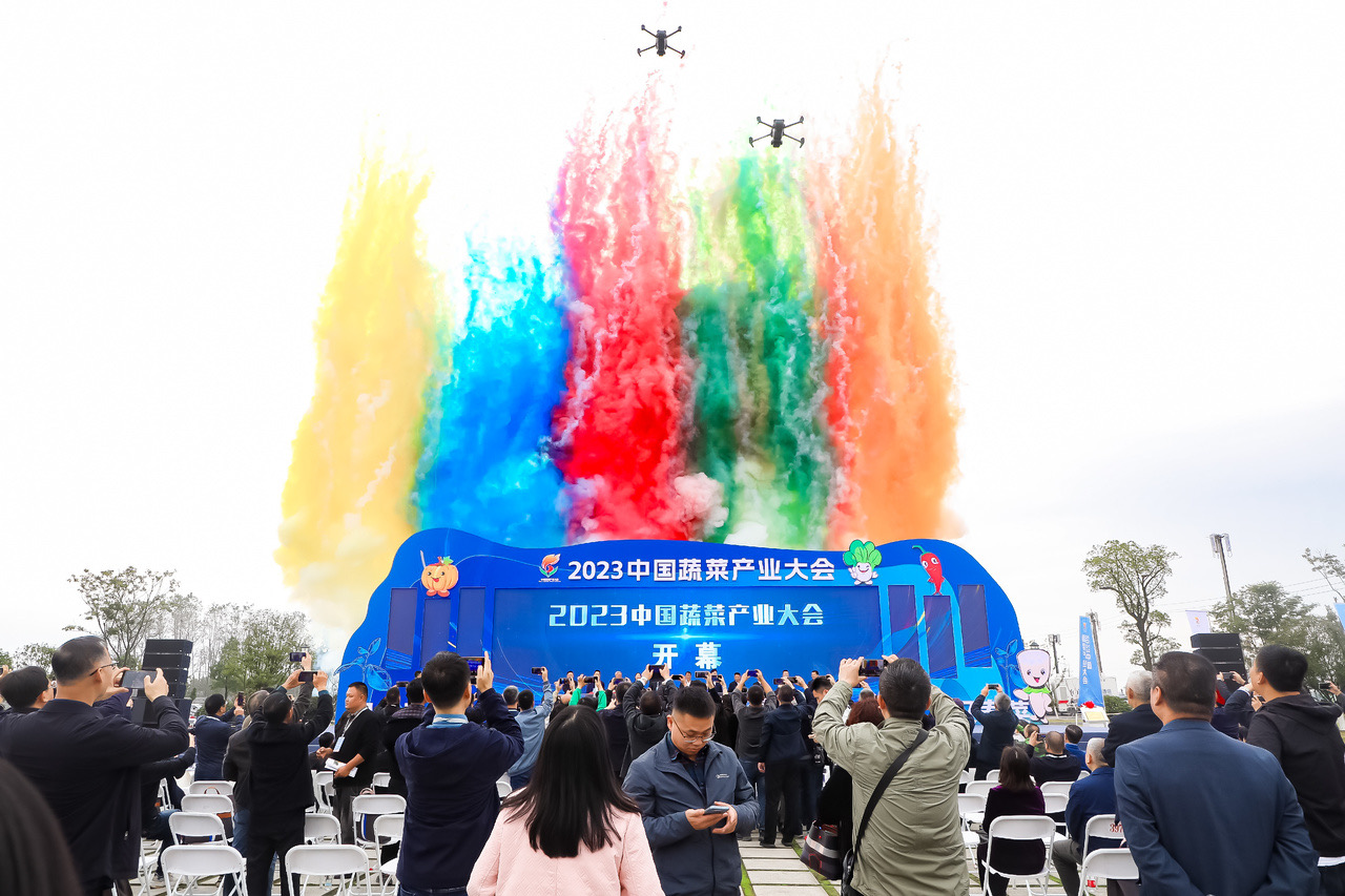2023中國蔬菜產業(yè)大會在湖南漢壽召開