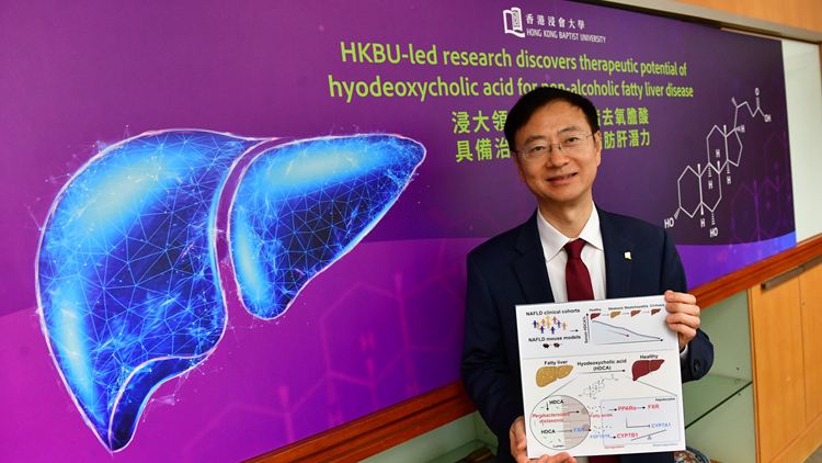 浸大研究：豬去氧膽酸可治療非酒精性脂肪肝