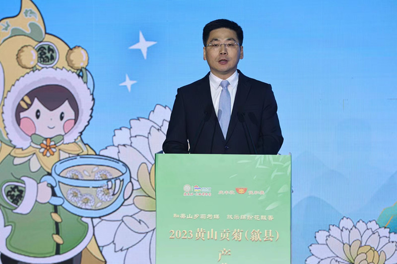 王奇勇：發(fā)展「貢菊經(jīng)濟」  打響貢菊品牌