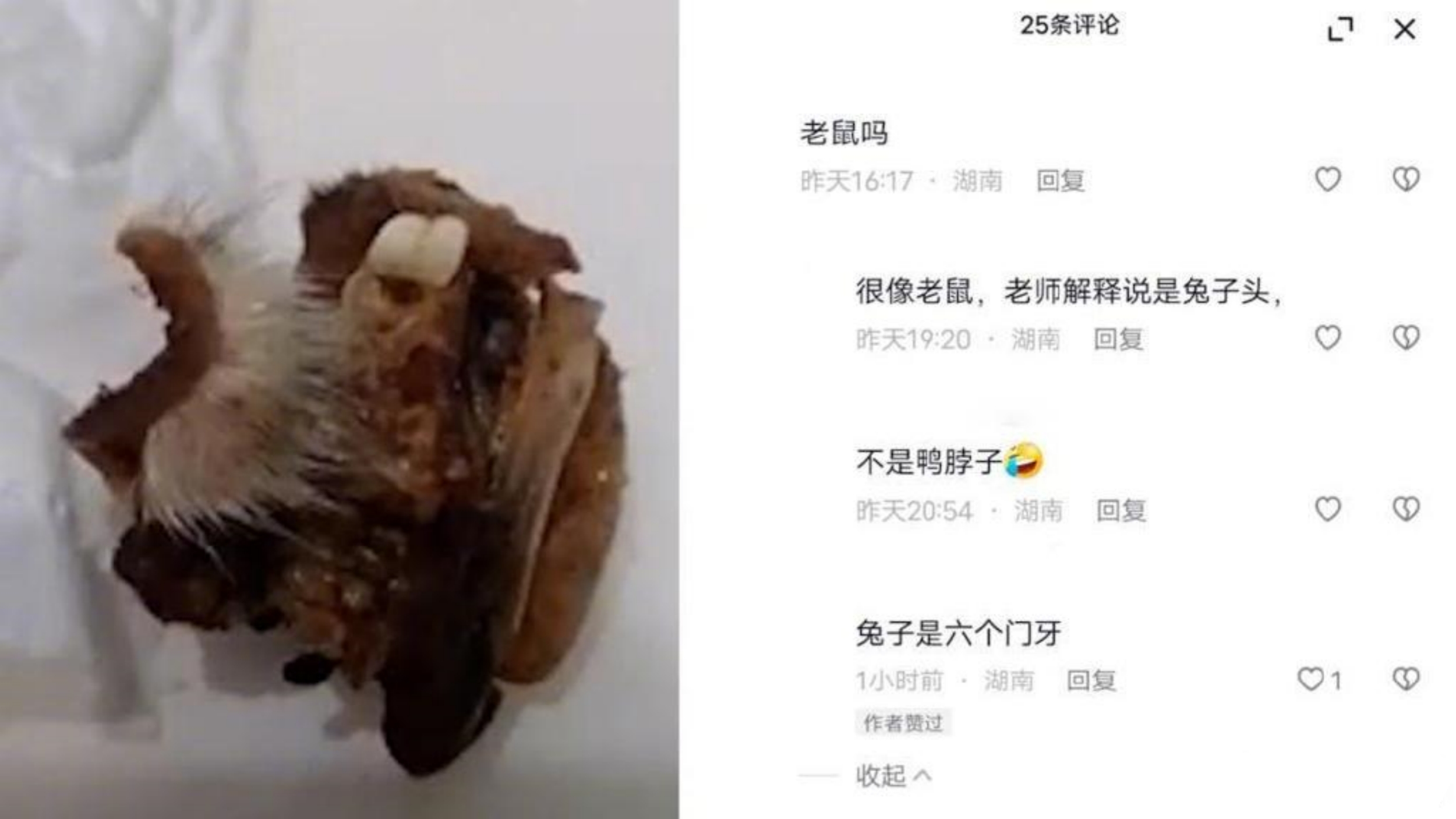 湖南懷化一小學食堂吃出「鼠頭」？當?shù)爻闪⒙?lián)合調(diào)查組開展調(diào)查