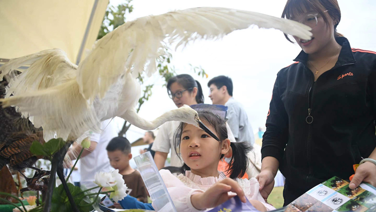 深圳啟動野生動物保護(hù)宣傳月活動：保護(hù)野生鳥類，共建綠美深圳