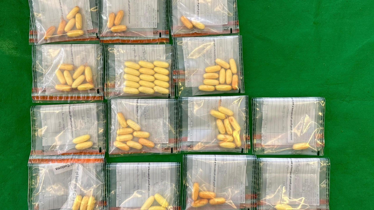 海關(guān)機(jī)場檢值110萬元懷疑可卡因 拘捕一名入境旅客