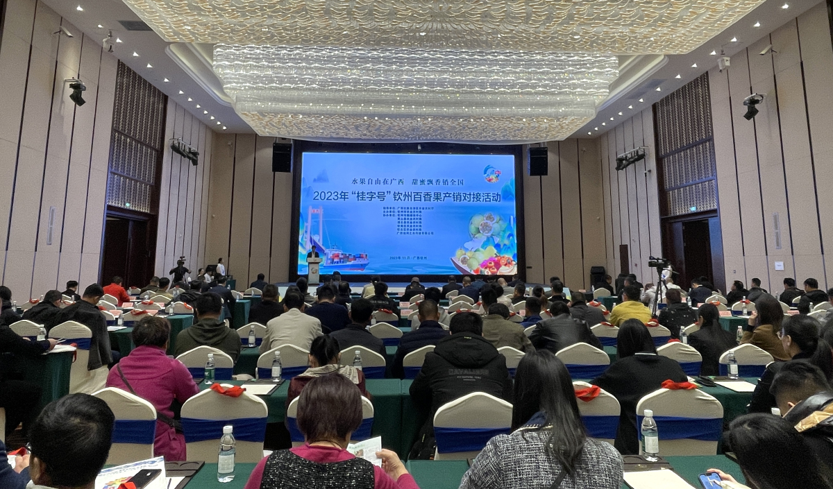 桂欽州加強(qiáng)產(chǎn)銷對(duì)接力促「欽果」出圈