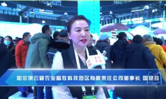 【有片】雲(yún)宴三花豬亮相綠博會(huì)火出圈 重溫兒時(shí)味道