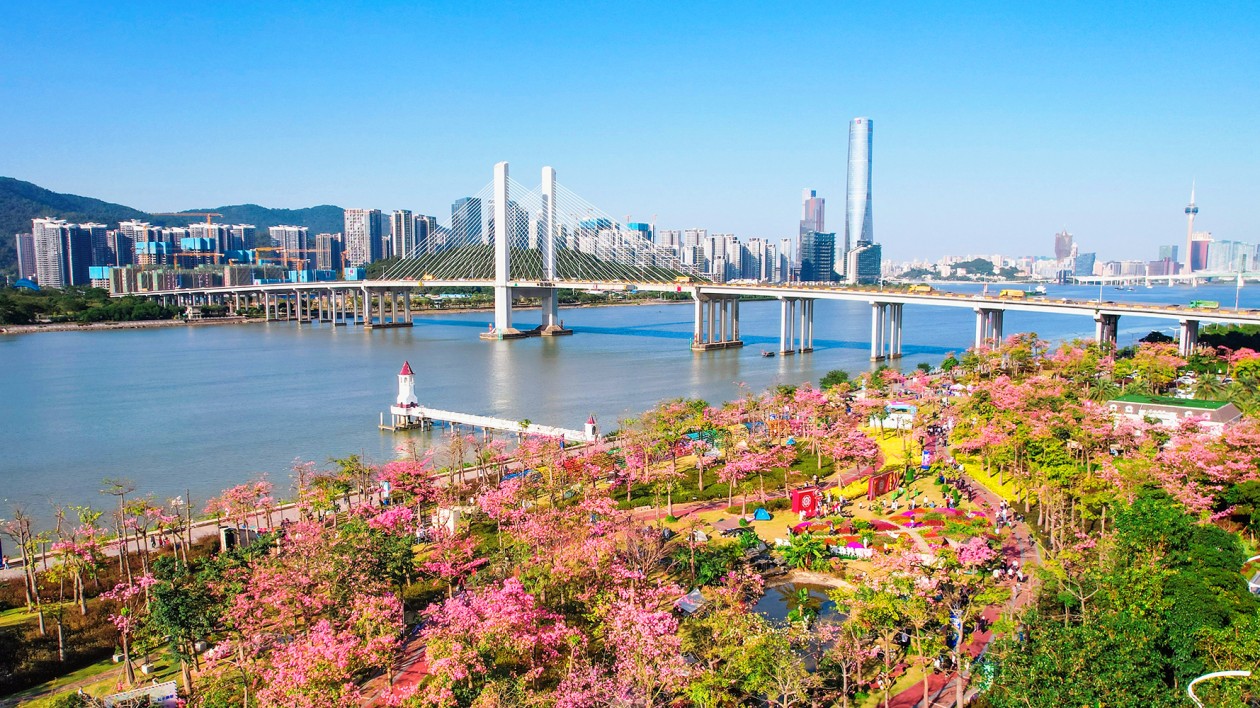 花海盛宴！橫琴第二屆「粵澳共此時(shí)」花海歡樂季開幕