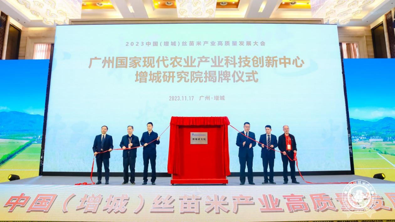 中國絲苗米高質量發(fā)展大會在發(fā)源地增城舉行