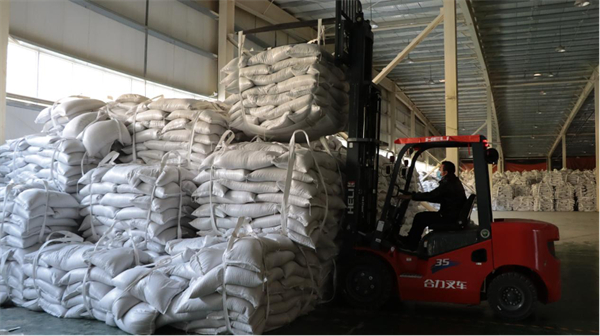 哈薩克斯坦葵花籽來到河南保稅物流園區(qū)