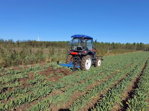 【對接大灣區(qū)·寒地龍藥耀九州】系列報(bào)道之六十九  產(chǎn)銷一體化全面提速 「寒地龍藥」駛?cè)氘a(chǎn)業(yè)發(fā)展快車道
