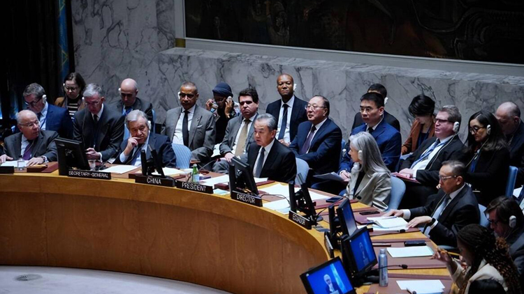 王毅在巴以問(wèn)題高級(jí)別會(huì)議後向媒體發(fā)表談話