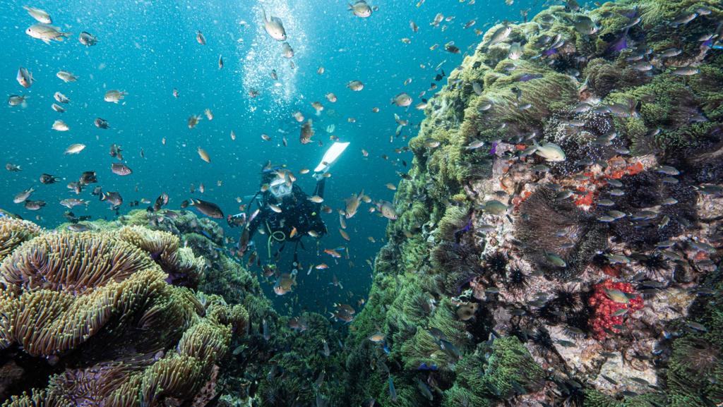 【旅遊】泰旅局香港與購物平臺合推獎賞活動